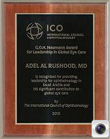 Prize (Newman) global leadership in the eye care, 2010